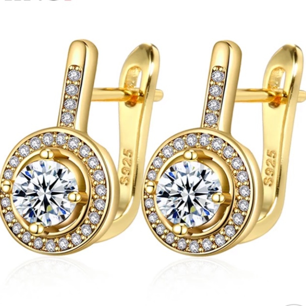¥ 18K Gold Plated 925 Silver Earrings
